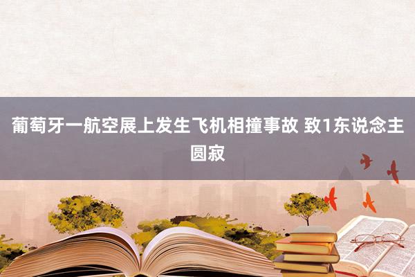 葡萄牙一航空展上发生飞机相撞事故 致1东说念主圆寂