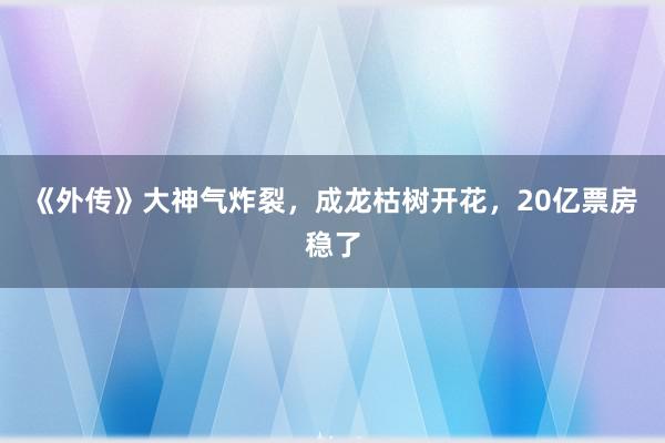 《外传》大神气炸裂，成龙枯树开花，20亿票房稳了