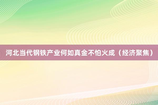 河北当代钢铁产业何如真金不怕火成（经济聚焦）