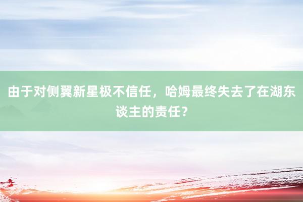 由于对侧翼新星极不信任，哈姆最终失去了在湖东谈主的责任？