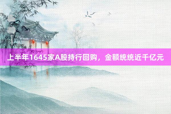 上半年1645家A股持行回购，金额统统近千亿元