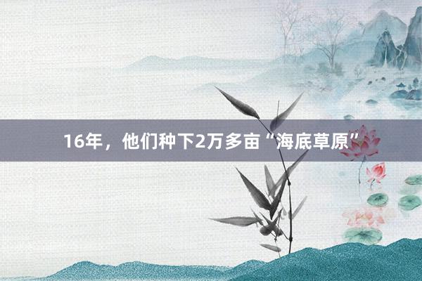 16年，他们种下2万多亩“海底草原”