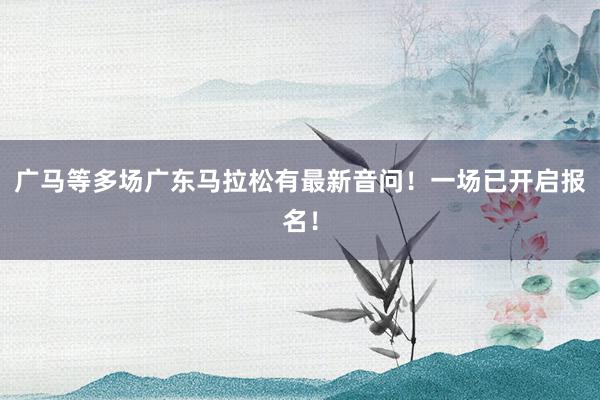 广马等多场广东马拉松有最新音问！一场已开启报名！