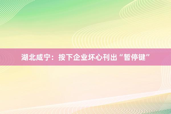 湖北咸宁：按下企业坏心刊出“暂停键”