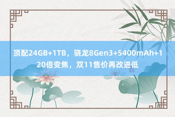 顶配24GB+1TB，骁龙8Gen3+5400mAh+120倍变焦，双11售价再改进低